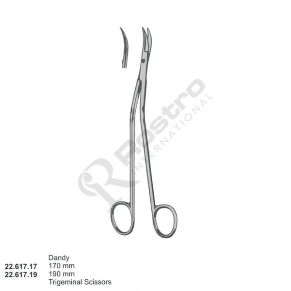 Dissecting Scissors