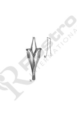 Splinter and Tissue Forceps