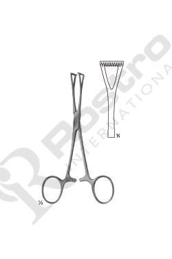 Collin Tissue Forceps Straight 250 mm