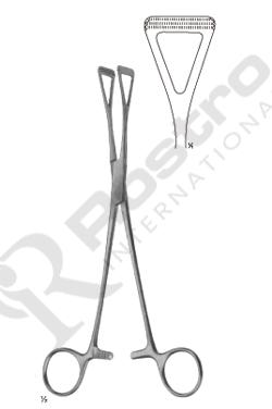 Collin Tissue Forceps Straight 250 mm