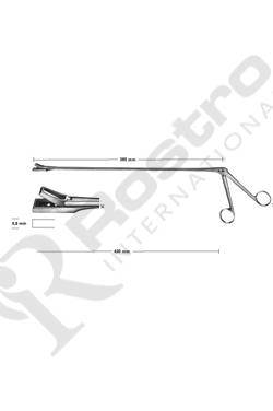 Biopsy forceps for rectum